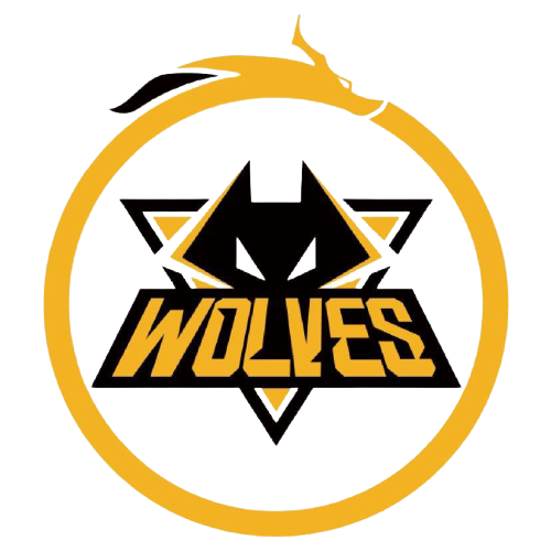 他大胆启用 他大胆启用