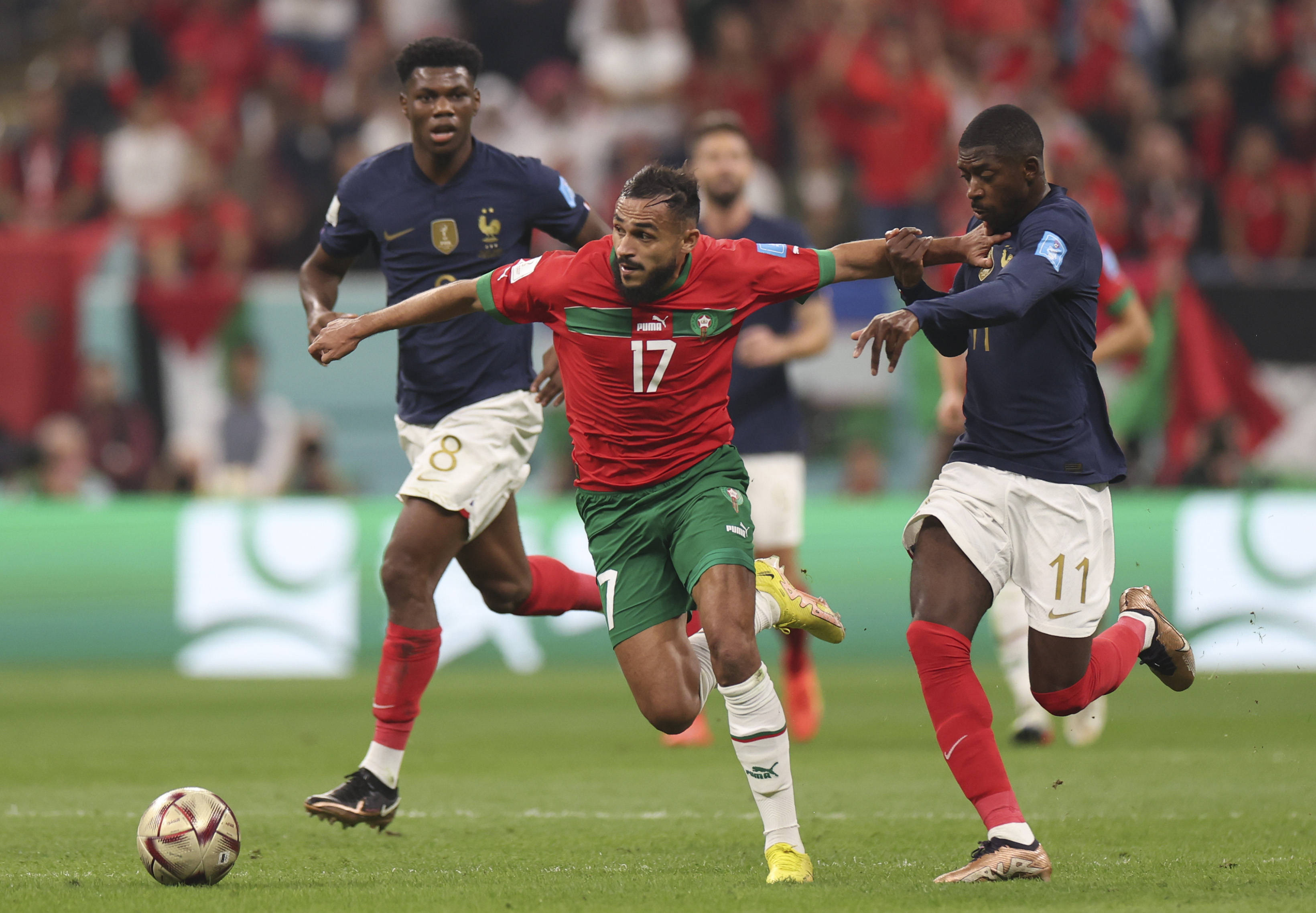 力的年轻球 力的年轻球